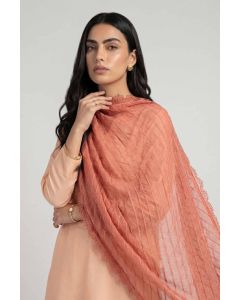Orange Women Scarf-447882106