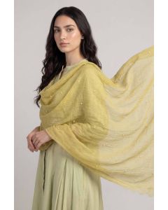 Yellow Women Scarf-447912102