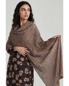 Coffee Women Scarf-447922117