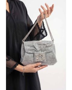 Silver Clutch-448572120